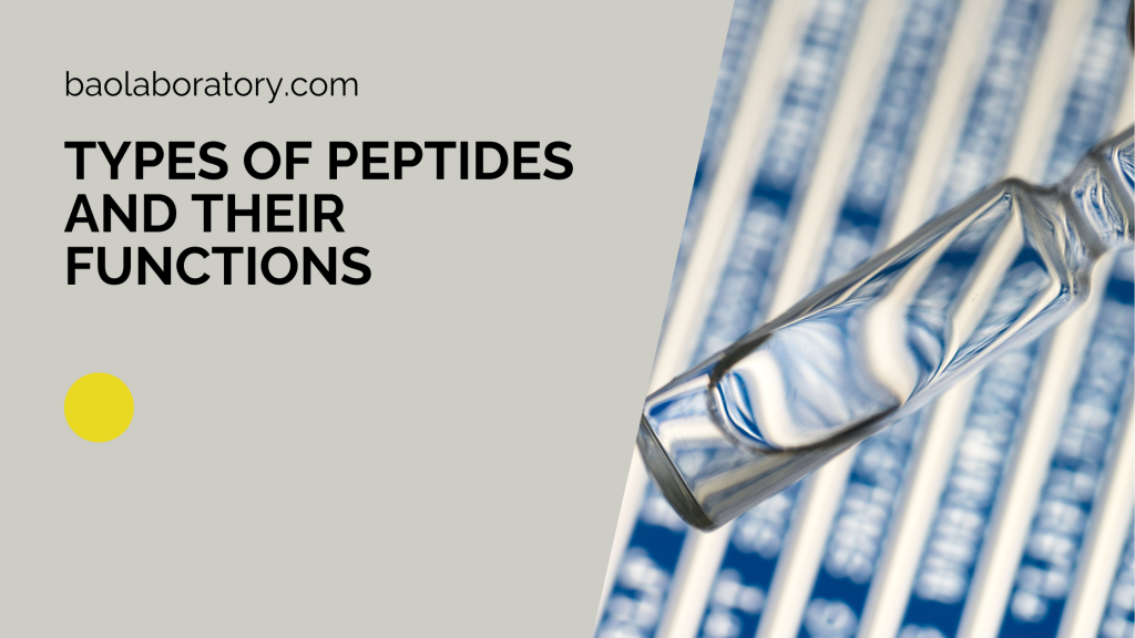 Types of Peptides